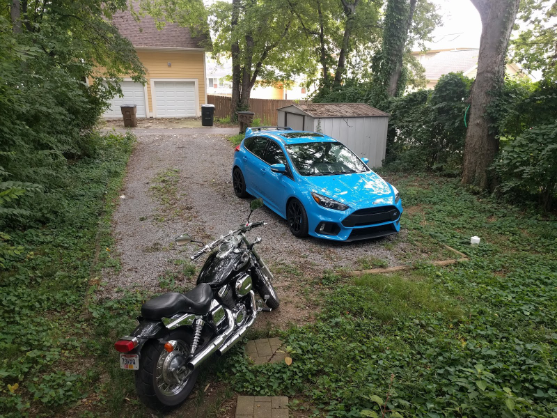 Hanging out behind my sister’s house